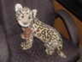 18&quot; Avanti LEOPARD Plush Toy With Tags By Jockline Italy Limited Edition 1989 - £77.86 GBP
