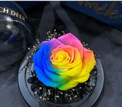 Love Immortal Preserved Roses Valentine&#39;s Day Birthday Gift - $57.10+