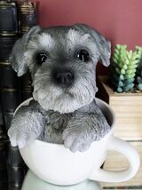 Realistic Grey Adorable Schnauzer Dog In Teacup Statue 5.75&quot; Tall Pet Pa... - €26,60 EUR