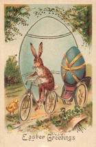 Rabbit Rides Bicycle pulls Trailer Decorated Egg-Easter Greetings 1910s POSTCARD - £14.21 GBP