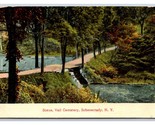 Vail Cemetery Schenectady New York NY 1909 DB Postcard P26 - $4.42