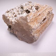 Paulina Pink Petrified Limb Cast Agate 5&quot; 3lb 11oz Rough Lapidary Gemstone - $123.74