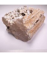 Paulina Pink Petrified Limb Cast Agate 5&quot; 3lb 11oz Rough Lapidary Gemstone - $2,307.72 MXN