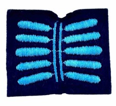 Rectangle Blue On Blue Leaf Pattern Campfire Girls Patch 2 x 1.75 inches - £5.86 GBP