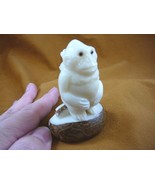 (tne-ape-go-235a) Gorilla + baby monkey ape TAGUA NUT palm nuts figurine... - $509.18 MXN
