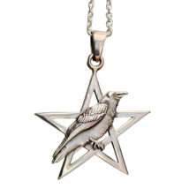 Raven On Pentacle Necklace 925 Sterling Silver Amulet Pagan 18&quot; Chain Wi... - £34.22 GBP
