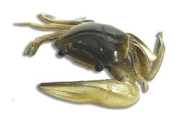 Soft Plastic Fiddler Crab Bait Almost Alive Lures Eel Color 1.5&quot; 16 Pack... - $328.30 MXN