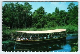 Weeki Wachee Florida Chrome Postcard Riverboat Cruise Boat Tour Unused Deckled - £12.45 GBP