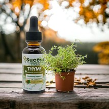 Thyme Tincture - (Immune System) - Alcohol Free - £10.64 GBP