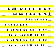 AMERICAN FLYER WINDOW SILHOUETTES 952 953 954 w/SHADE GLOSSY PHOTO PAPER... - $243.83 MXN