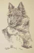Belgian Tervuren Dog Art Print #93 Stephen Kline adds your dogs name fre... - £39.11 GBP