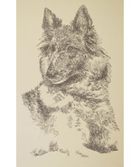 Belgian Tervuren Dog Art Print #93 Stephen Kline adds your dogs name fre... - £39.92 GBP