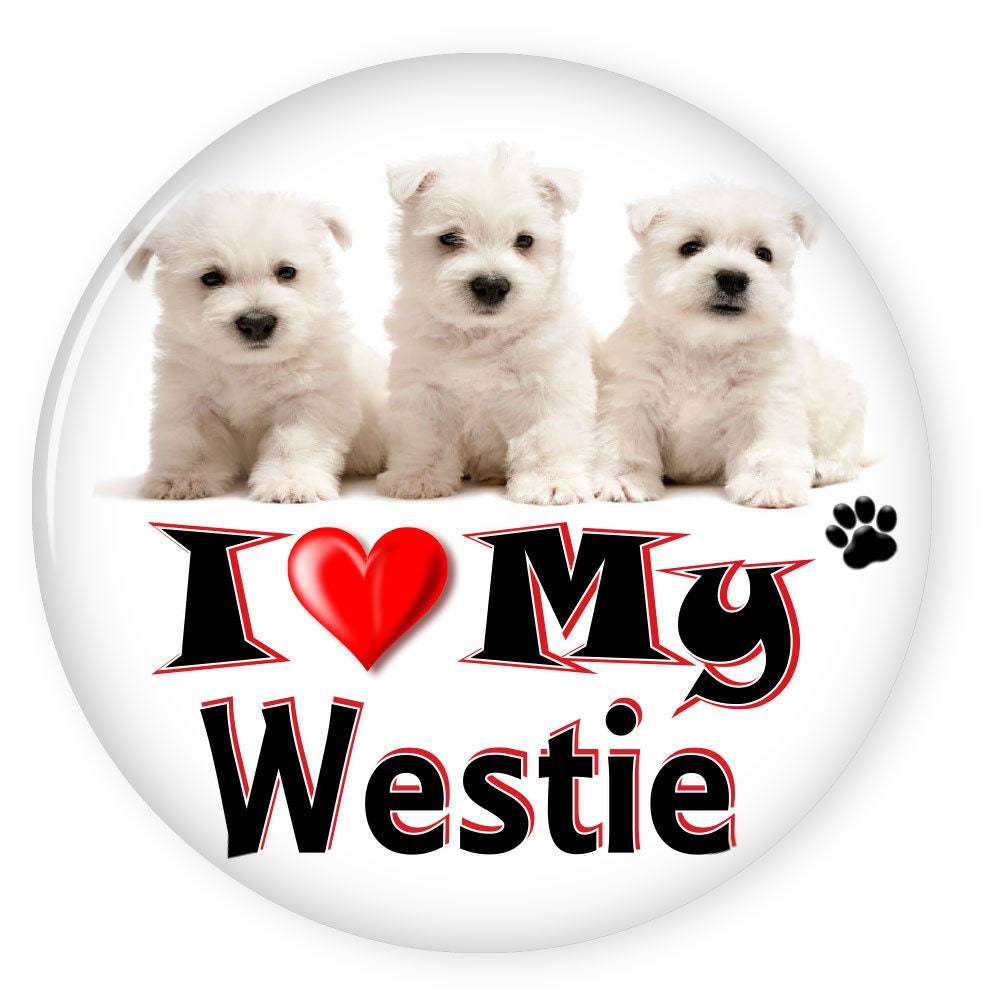 I Love My WEST HIGHLAND Terrier - Dog Puppy 3&quot; CAMPAIGN Pin Back Button ... - $7.99