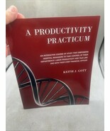 A Productivity Practicum: An interactive course of study that empowers h... - $158.40 CAD