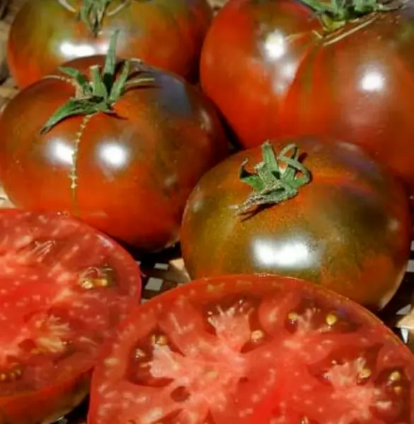 New Fresh Paul Robeson Tomato Seeds 50 Beefsteak Indeterminate Garden Vegetable - £7.12 GBP