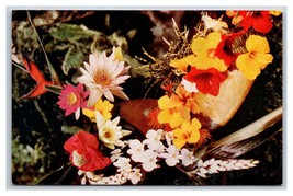 Group of Island Flowers Near Honolulu Hawaii HI UNP Chrome Postcard S14 - £2.30 GBP