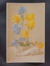 Alpine Irises Silver Print Gelatine Color RPPC AG Taylor Reality Series RARE - $28.51