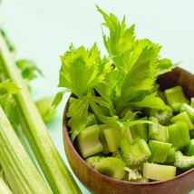 Seeds USA Seller Dorato D’Asti Celery 300 Seeds Brassica Oleracea - £6.81 GBP