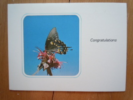 Vintage A Sunshine Card Congratulations Unused - $2.99