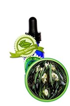 Ecaulyptus Essential Oil - 100% PURE Eucalyptus globulus - 8oz (240ml) - $127.39