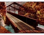 Hanging Bridge Royal Gorge Colorado CO UNP DB Postcard W22 - £3.11 GBP
