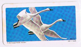 Brooke Bond Red Rose Tea Card #23 Trumpeter Swan North American Wildlife Danger - $0.98