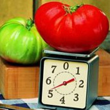 Big Zac Tomato Seeds Fresh Seeds USA - £10.19 GBP