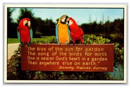 Busch Gardens Tampa FL Dorothy Frances Gurney Quote Parrots Chrome Postcard W22 - £3.11 GBP