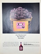 MOGEN DAVID WINES - Blackberries - Buy by the bottle - 1965 Vintage Prin... - $10.97