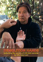 Demolition Hands DVD by Gary Lam - £27.37 GBP