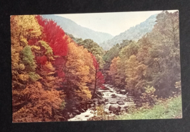 Little Pigeon River Smoky Mountains TN Fall Autumn Foliage Postcard c1970s KG227 - £3.97 GBP