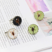 6 Pcs Real Insect Specimen Scorpion Creative Rings - £47.55 GBP