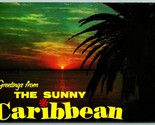 Large Letter Greetings from Sunny Caribbean Chrome Postcard G10 - $3.91