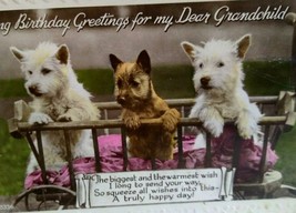  Postcard Dogs Puppies Scottish Terriers In Cart Vintage R3336 Birthday Greeting - £11.16 GBP