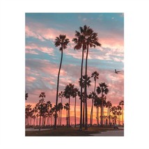 Palm Trees Of Paradise: 8 X 10&quot; Wall Art Print, Ready To Frame, Beautiful Beach - £22.50 GBP