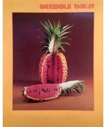Incredible Edibles Watermelon Pineapple Poster Edward Weston Graphics Pinemelon - $84.06
