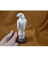 (EAG-w49) white Bald Eagle standing on tree shed ANTLER figurine Bali de... - $166.99