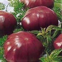 100 PCS Seeds Rainbow Black Elephant Tomato - $10.74