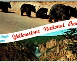 Doppio Vista Banner Greetings Yellowstone National Park Wy Unp Cromo Car... - $7.14