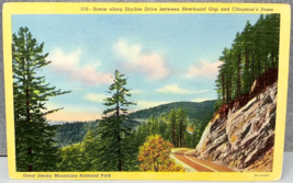 CURTEICH Colortone Linen Postcard North Carolina Newfound Gap and Clingm... - $5.95