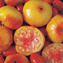 50 Seeds Georgia Streak Tomato Juicy Tomatoe Vegetable Garden  - £5.54 GBP