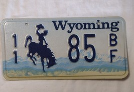 VINTAGE WYOMING LICENSE PLATES (PAIR)  NO LONGER IN USE-  PARK COUNTY 11... - $18.00