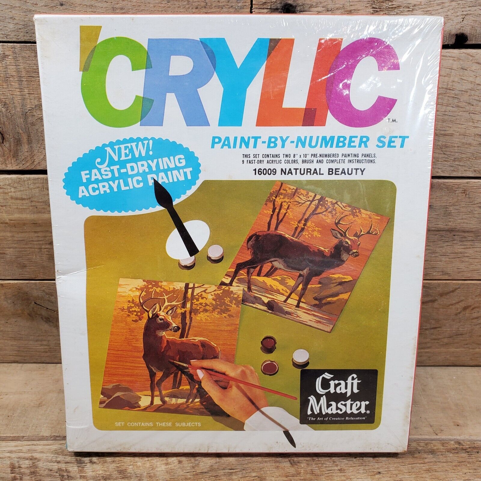 New Sealed Vintage Natural Beauty Craft Master Paint By Number Set