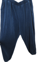 Ava &amp; Viv Women&#39;s Blue Velour Jogger Pants, Pockets, Plus Size 1X - $14.99