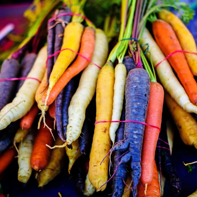 500 Seeds Rainbow Carrot Mix White Red Yellow Purple Orange Daucus Carrota Fresh - £15.97 GBP