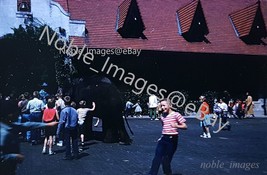 1961 Busch Gardens Children Elephant Tampa Kodachrome 35mm Color Slide - £2.71 GBP