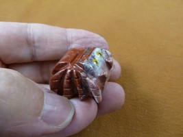 Y-SPI-14) little red white TARANTULA spider gem stone figurine SOAPSTONE... - £6.75 GBP