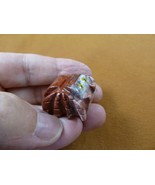 Y-SPI-14) little red white TARANTULA spider gem stone figurine SOAPSTONE... - £6.85 GBP