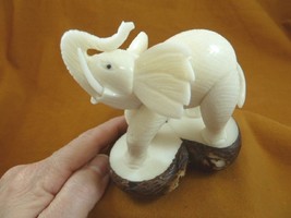 (TNE-ELE-240-B) Circus Elephant Tagua Nut Figurine Carving Vegetable Elephants - £42.14 GBP