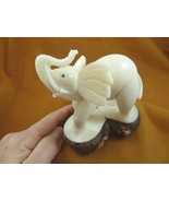 (TNE-ELE-240-B) circus ELEPHANT TAGUA NUT Figurine carving Vegetable ele... - $986.53 MXN